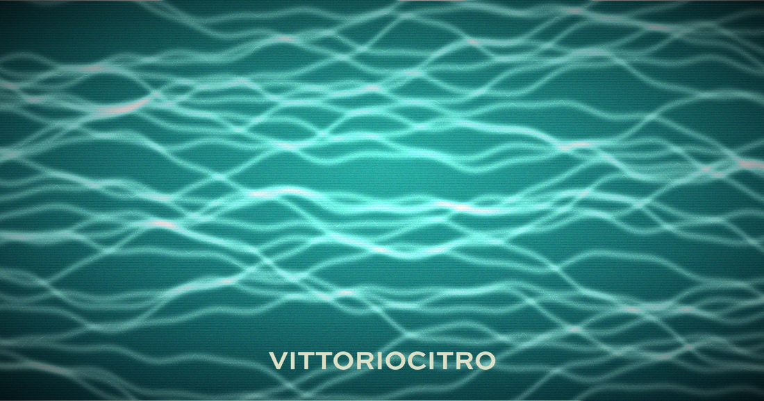 Samba muccate guida completa - Vittorio Citro Boutique