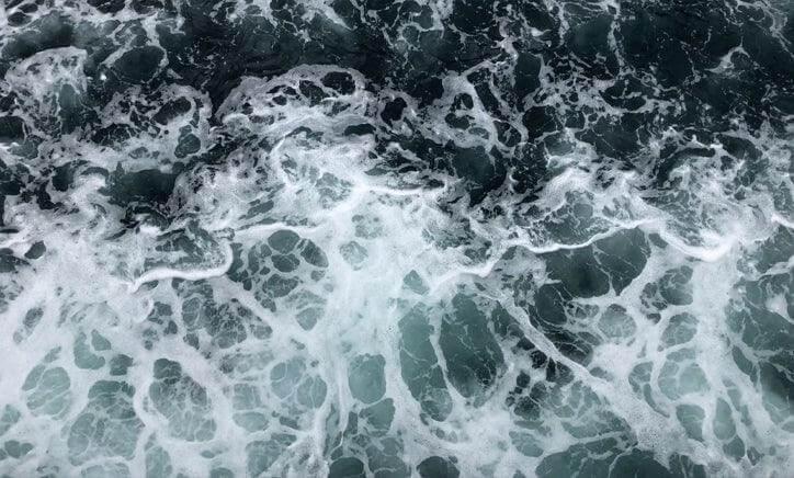 ORTO PARISI - Vittorio Citro Boutique