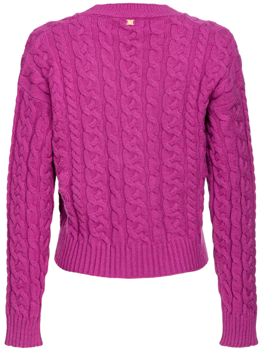 Cervo maglioncino a trecce-Pinko-Maglieria-Vittorio Citro Boutique