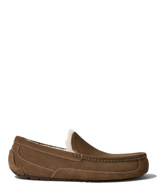 UGG Slides Mænd Ascot i læder med UGGplush™-foring