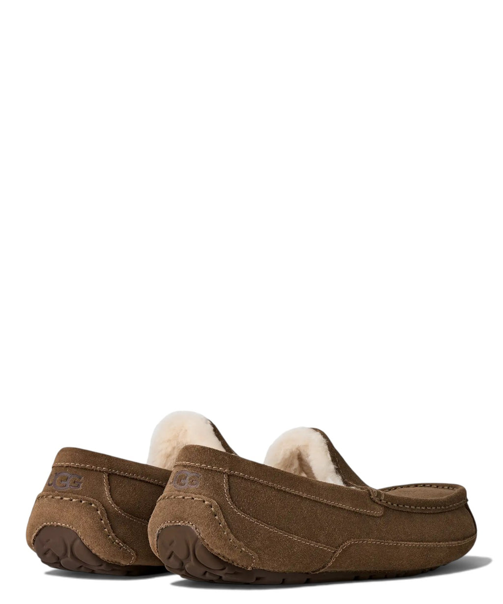 Chinelos Homem UGG Ascot em Pele com Forro UGGplush™