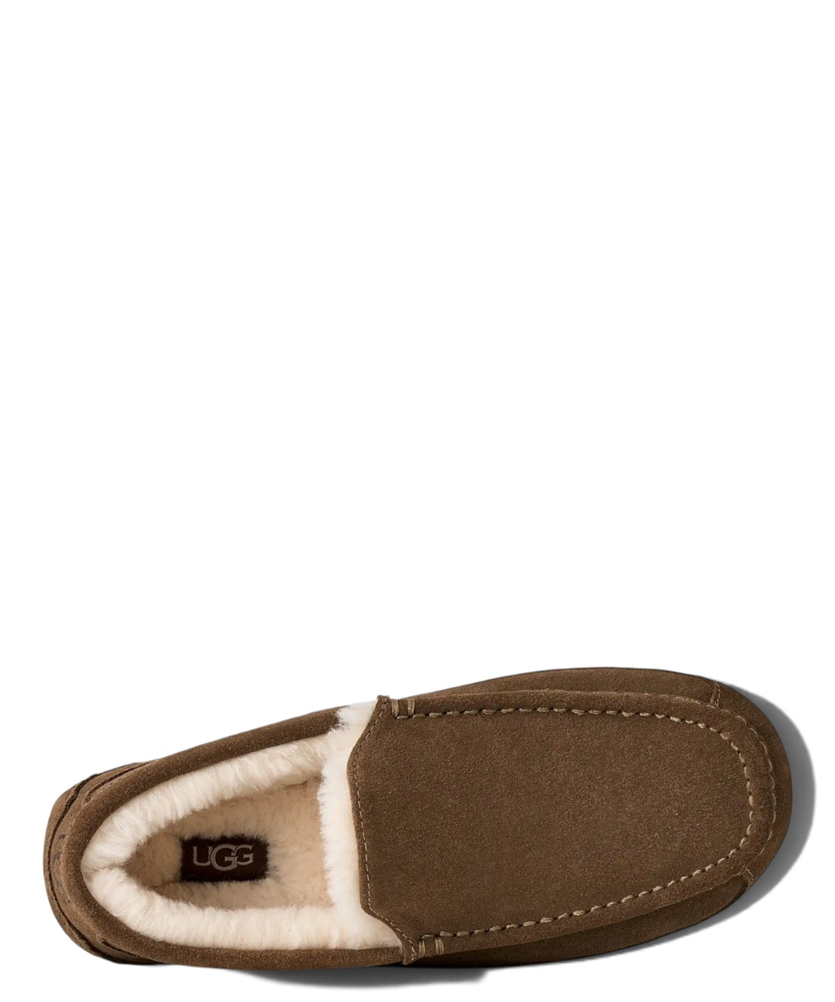 Chinelos Homem UGG Ascot em Pele com Forro UGGplush™