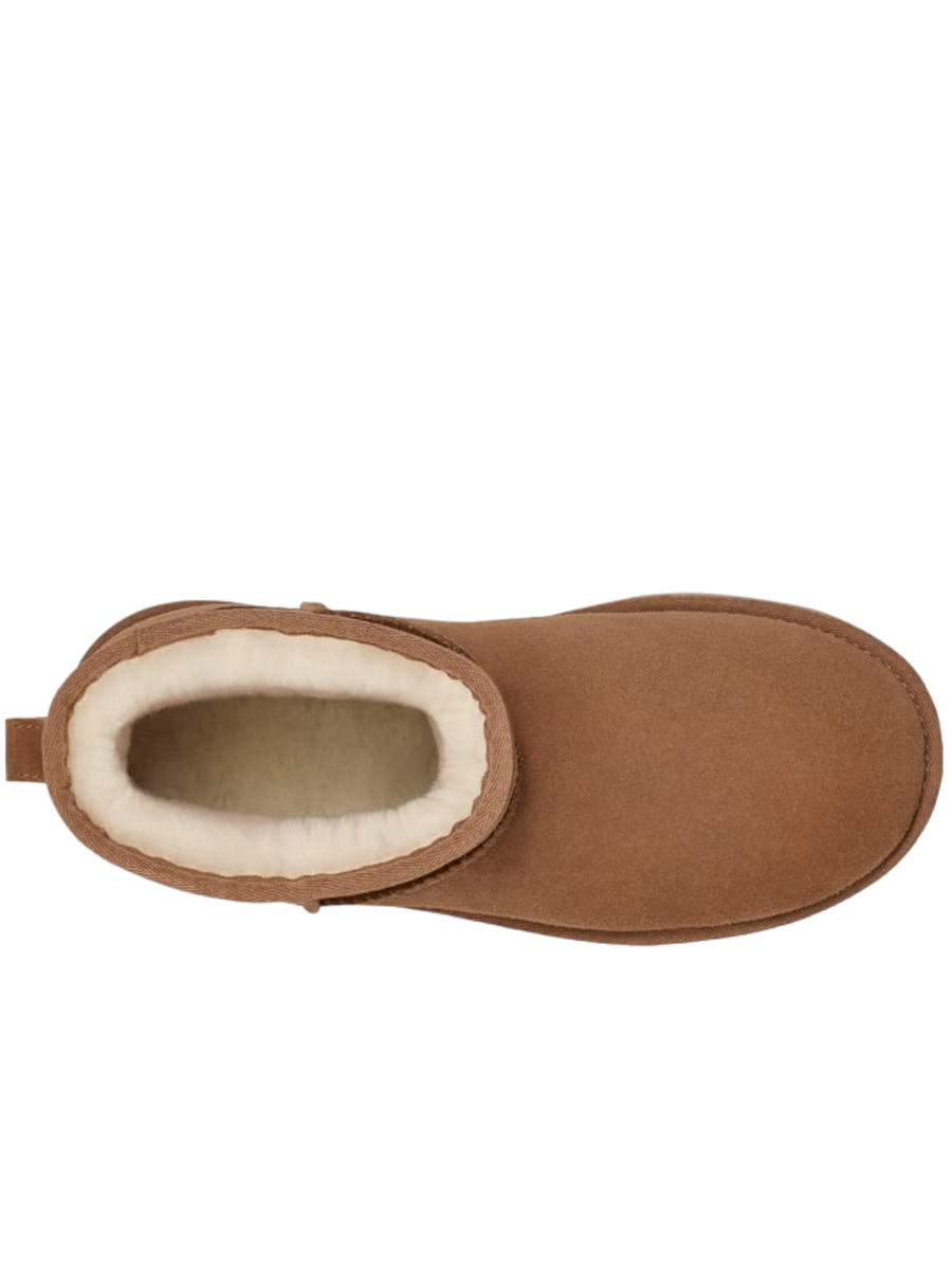Stivali Classic Mini Platform-Ugg-Stivali-Vittorio Citro Boutique