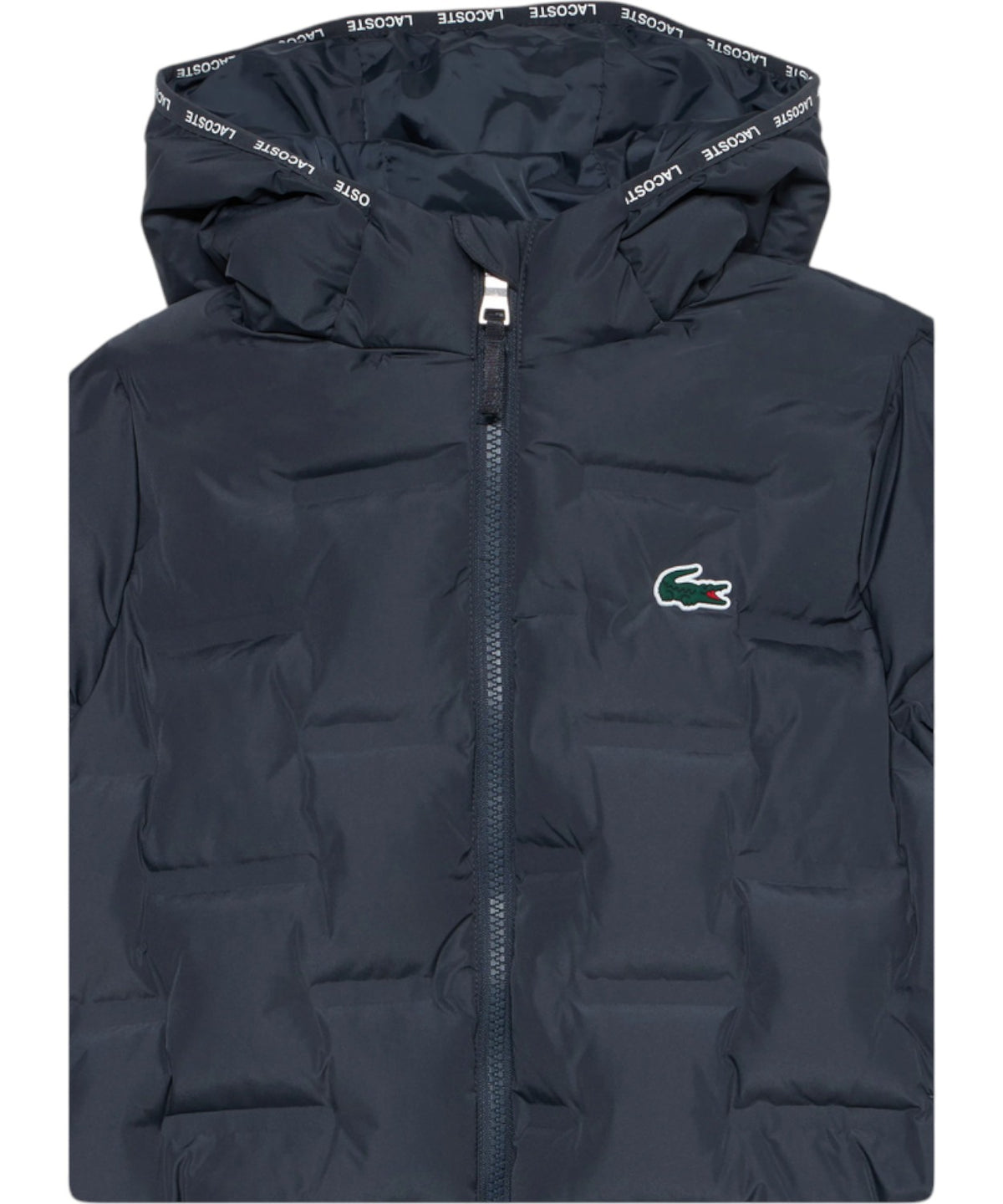 Piumino Bambino Lacoste con Cappuccio e Logo
