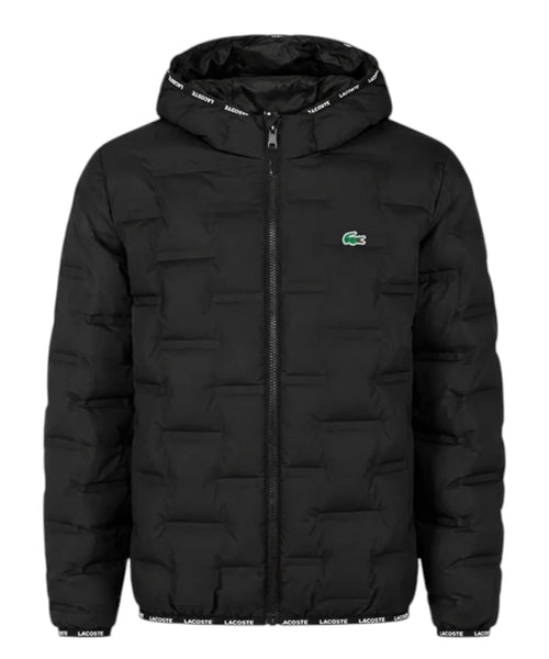 Piumino Bambino Lacoste con Cappuccio e Logo