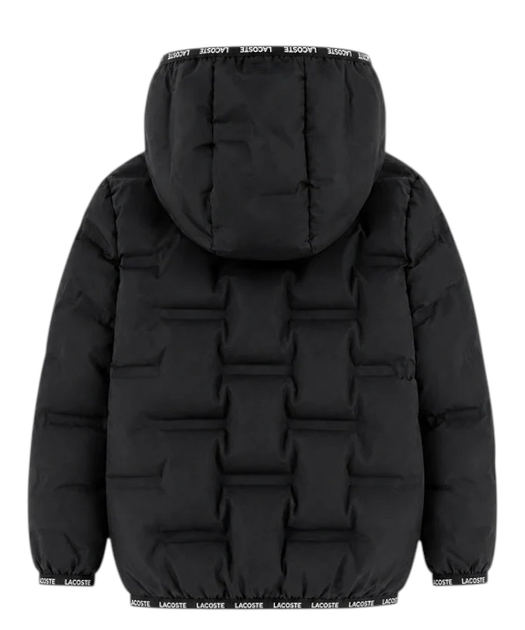 Piumino Bambino Lacoste con Cappuccio e Logo