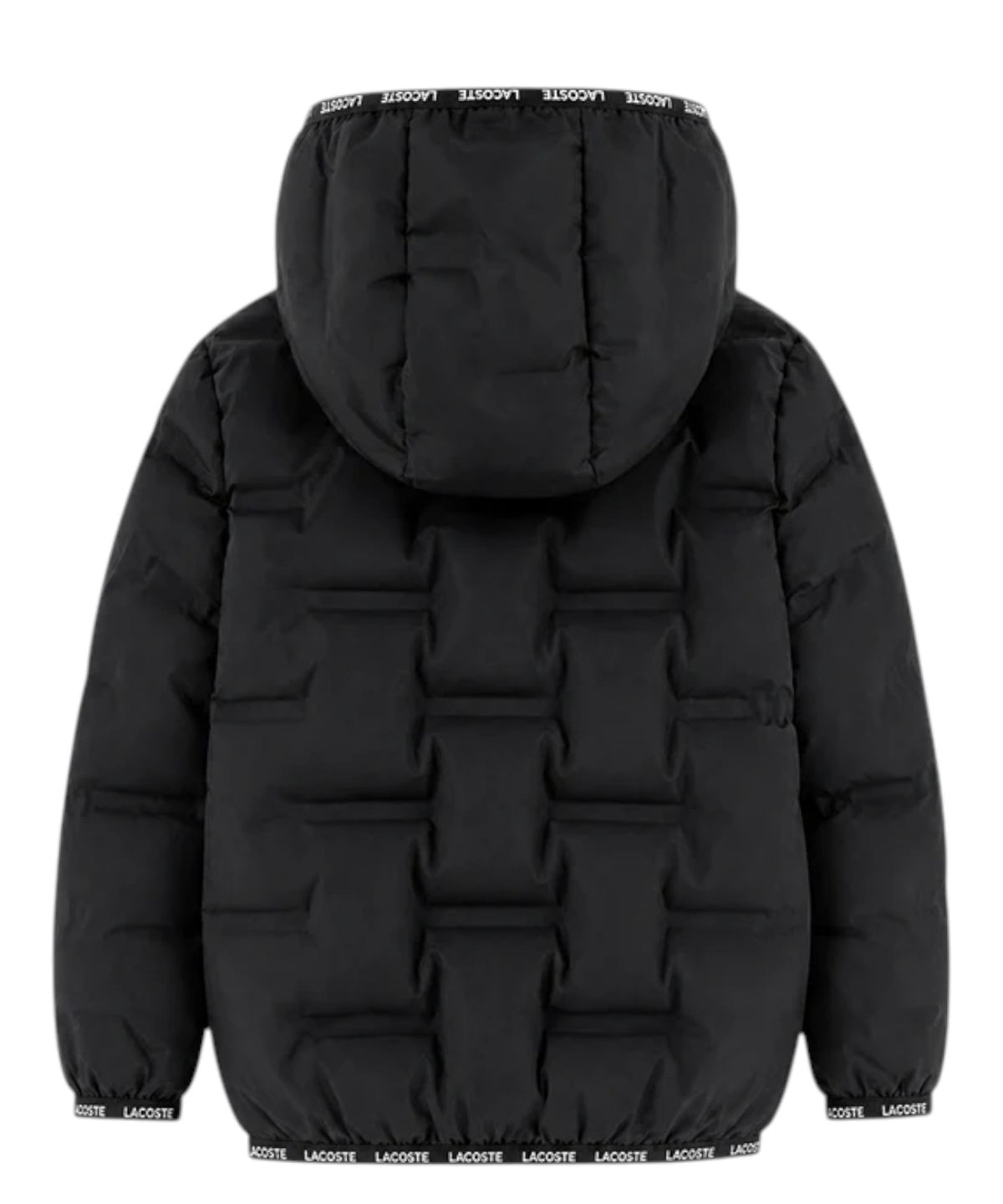 Piumino Bambino Lacoste con Cappuccio e Logo