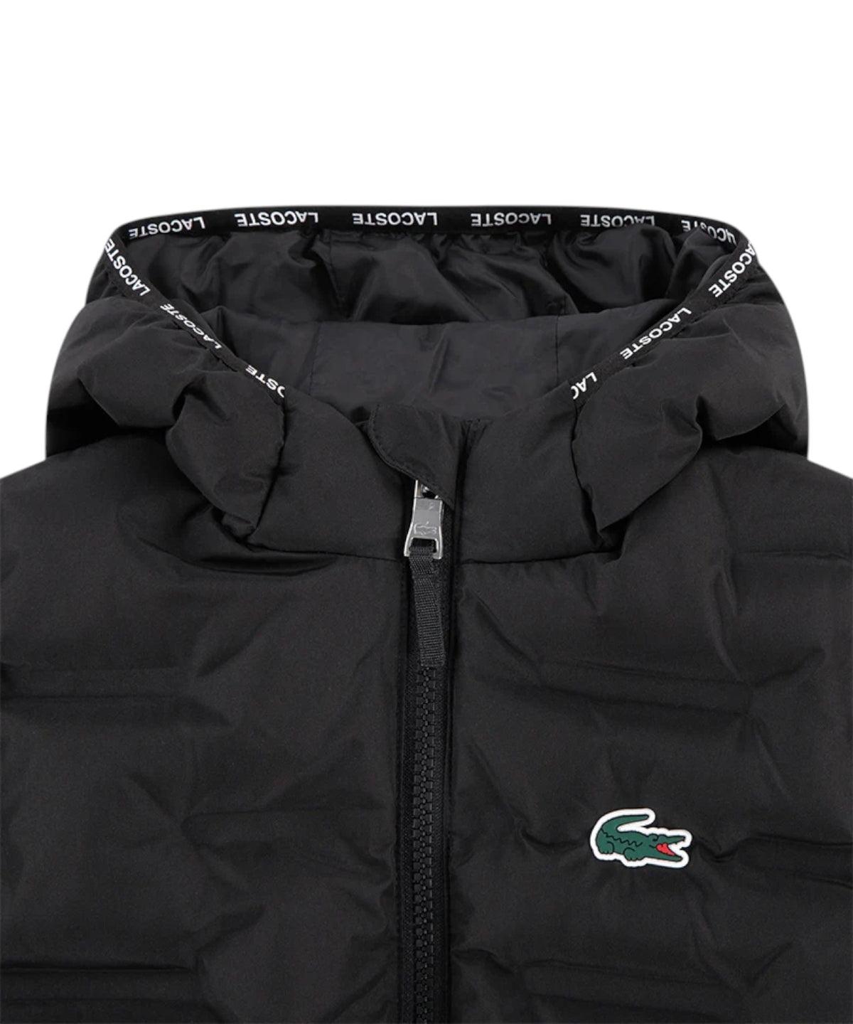 Piumino Bambino Lacoste con Cappuccio e Logo