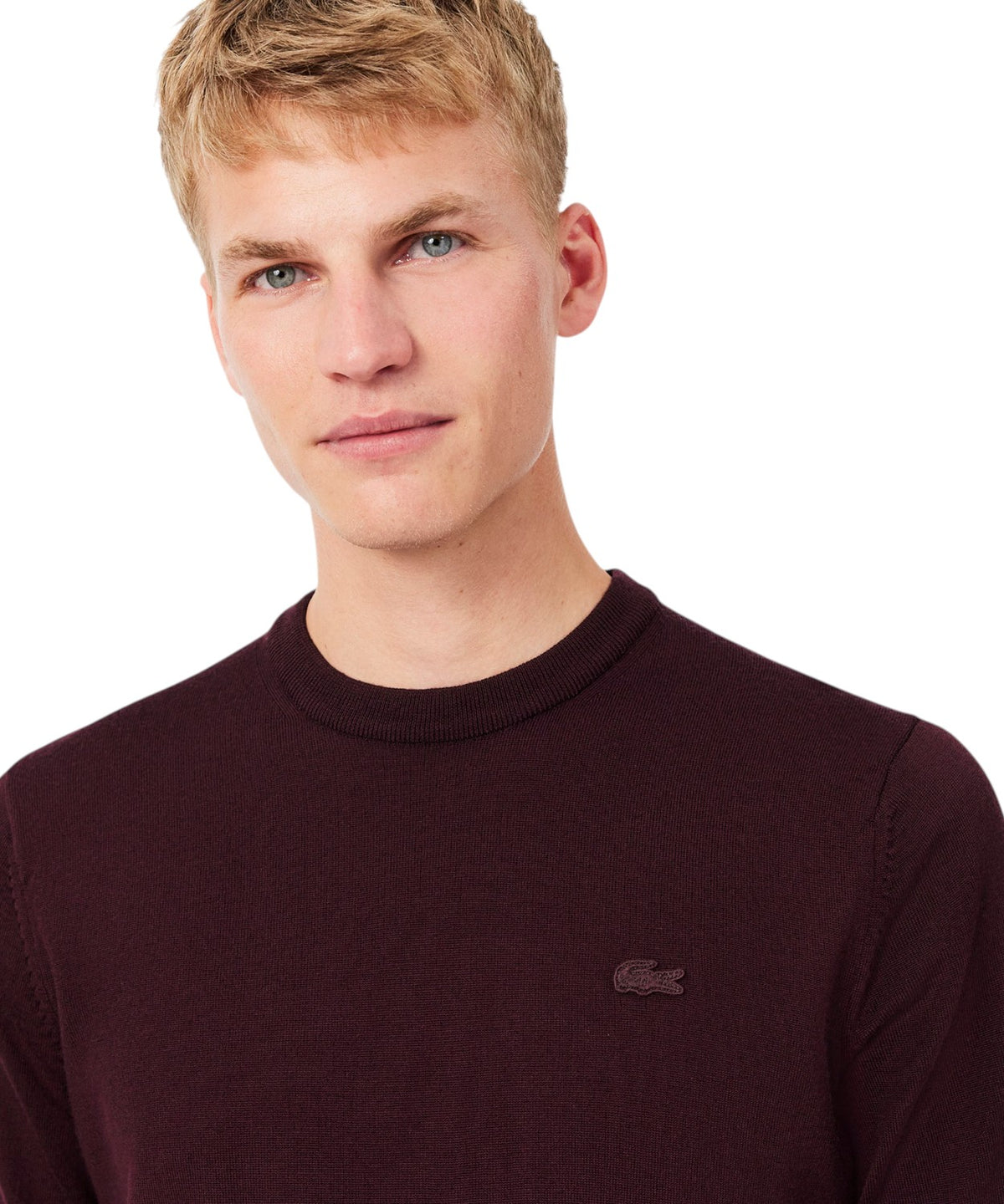Lacoste Rundhalspullover aus Merinowolle für Herren
