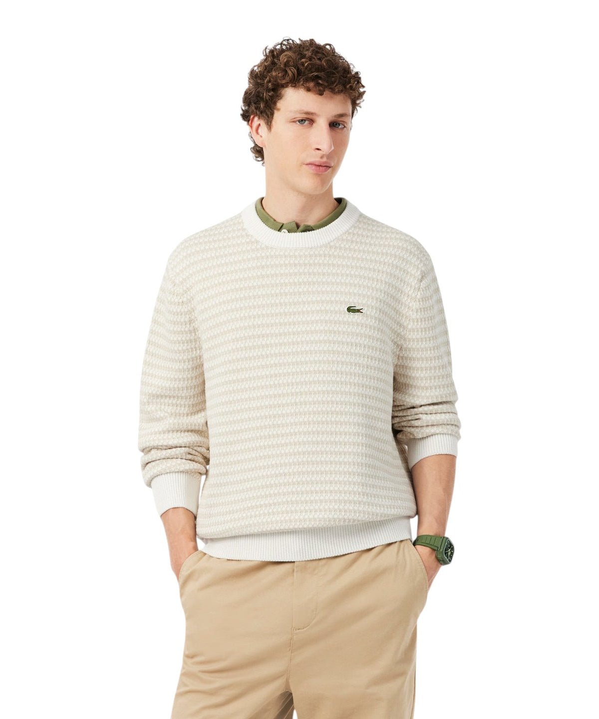 Maglione Lacoste Jacquard in Cotone