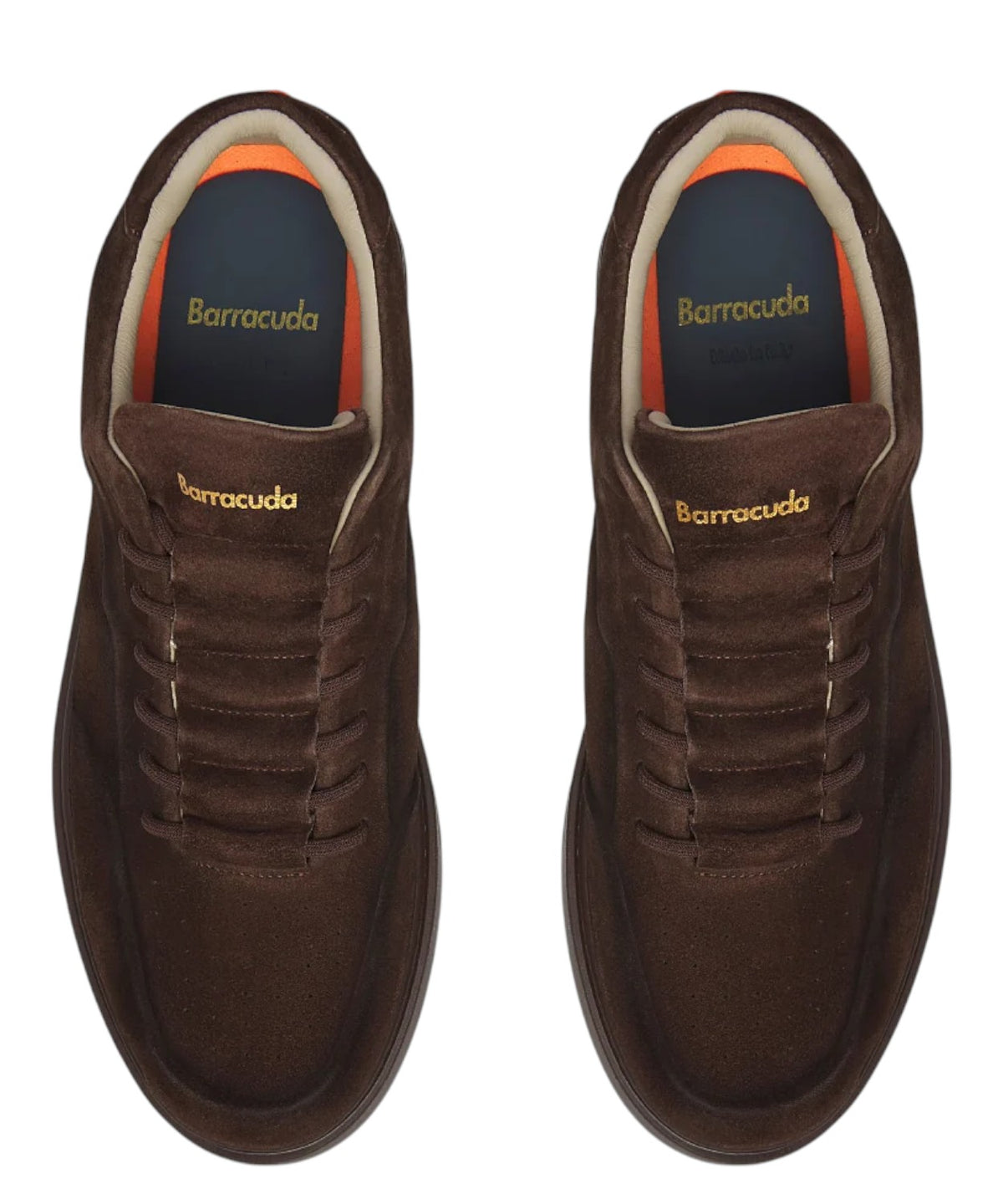 Sneakers Uomo Barracuda Phoenix in Suede Versatili
