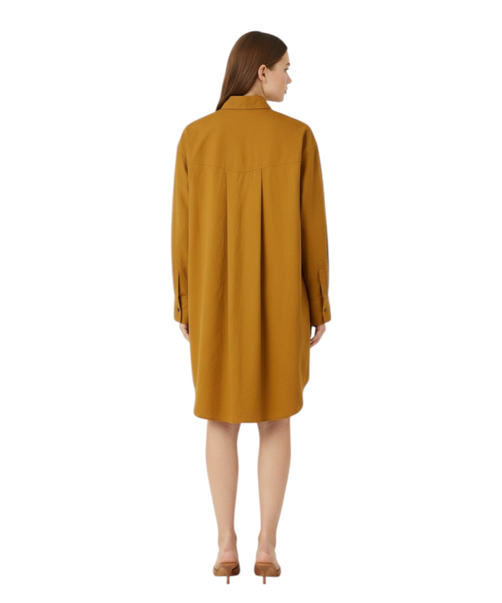 Pinko Alife Cotton Dress with Fringes