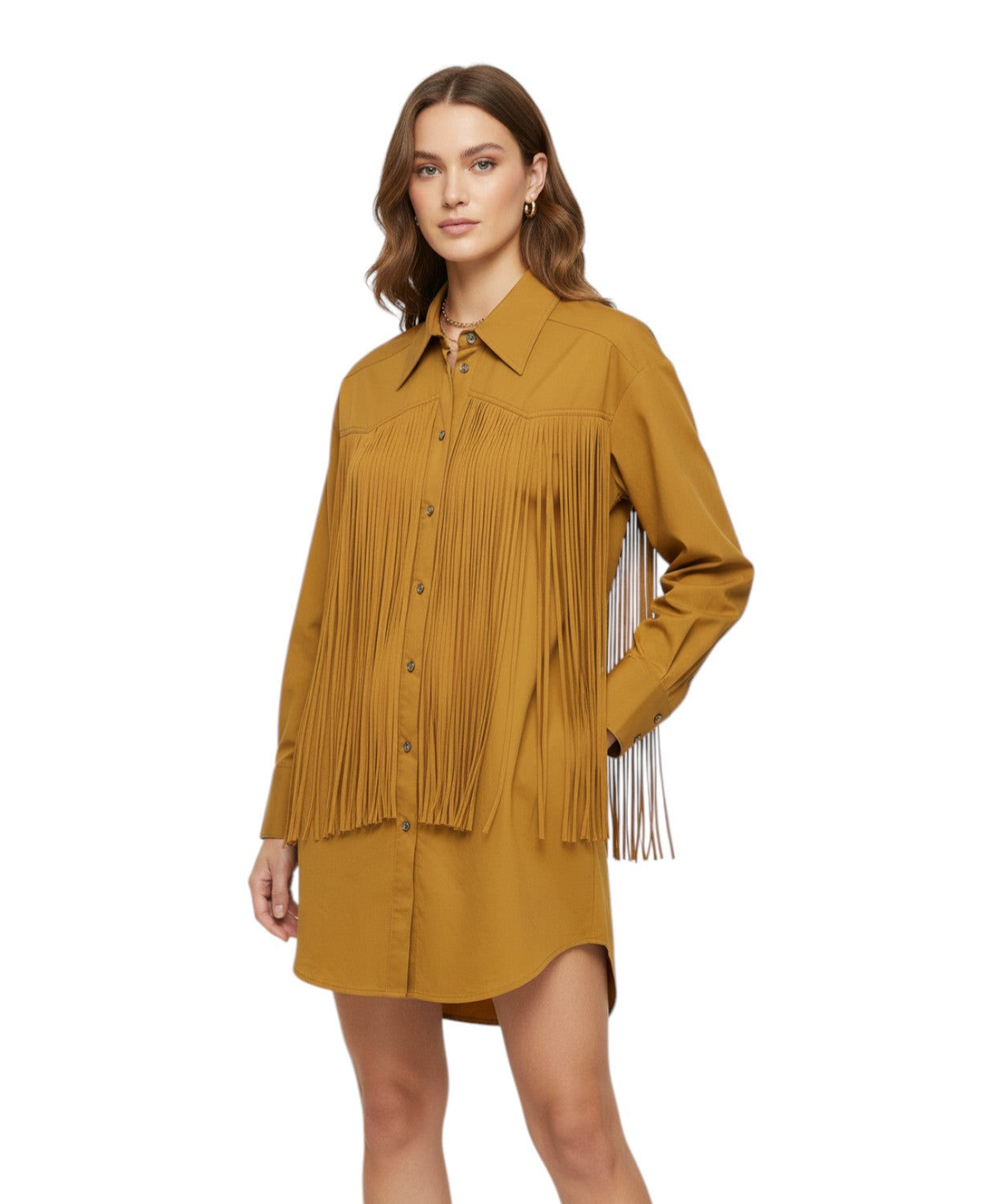 Abito Pinko Alife in Cotone con Frange