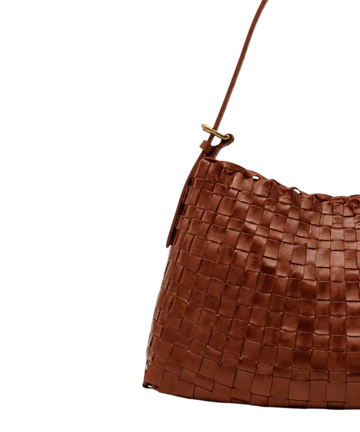 Borsa Hobo Salvage a Spalla Dragon Diffusion