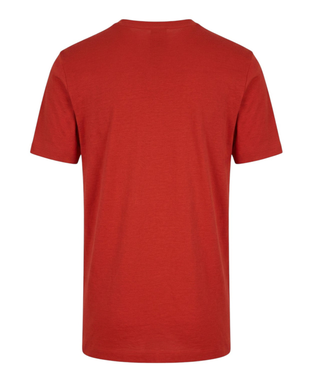 T-Shirt Uomo Girocollo in Cotone e Modal