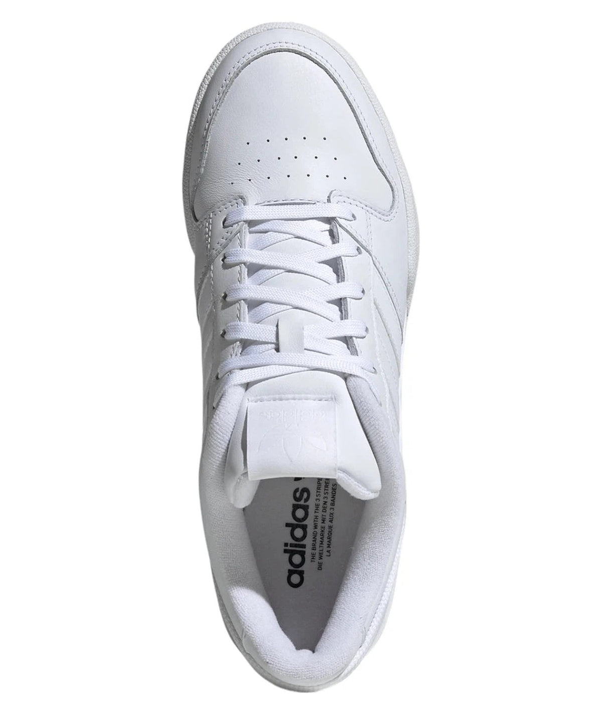 Adidas Team Court 2.0 STR-Adidas Originals-Sneakers-Vittorio Citro Boutique
