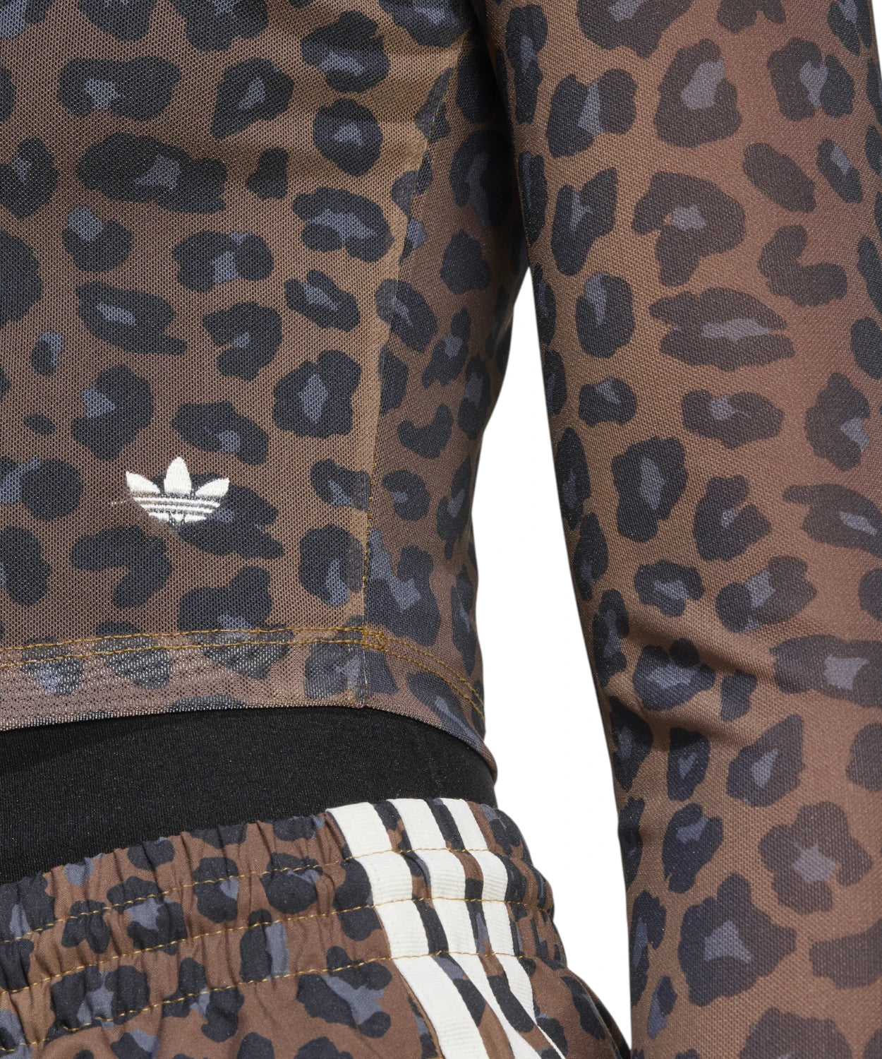 Top Corto Leopardato a Maniche Lunghe-Adidas Originals-Maglieria-Vittorio Citro Boutique