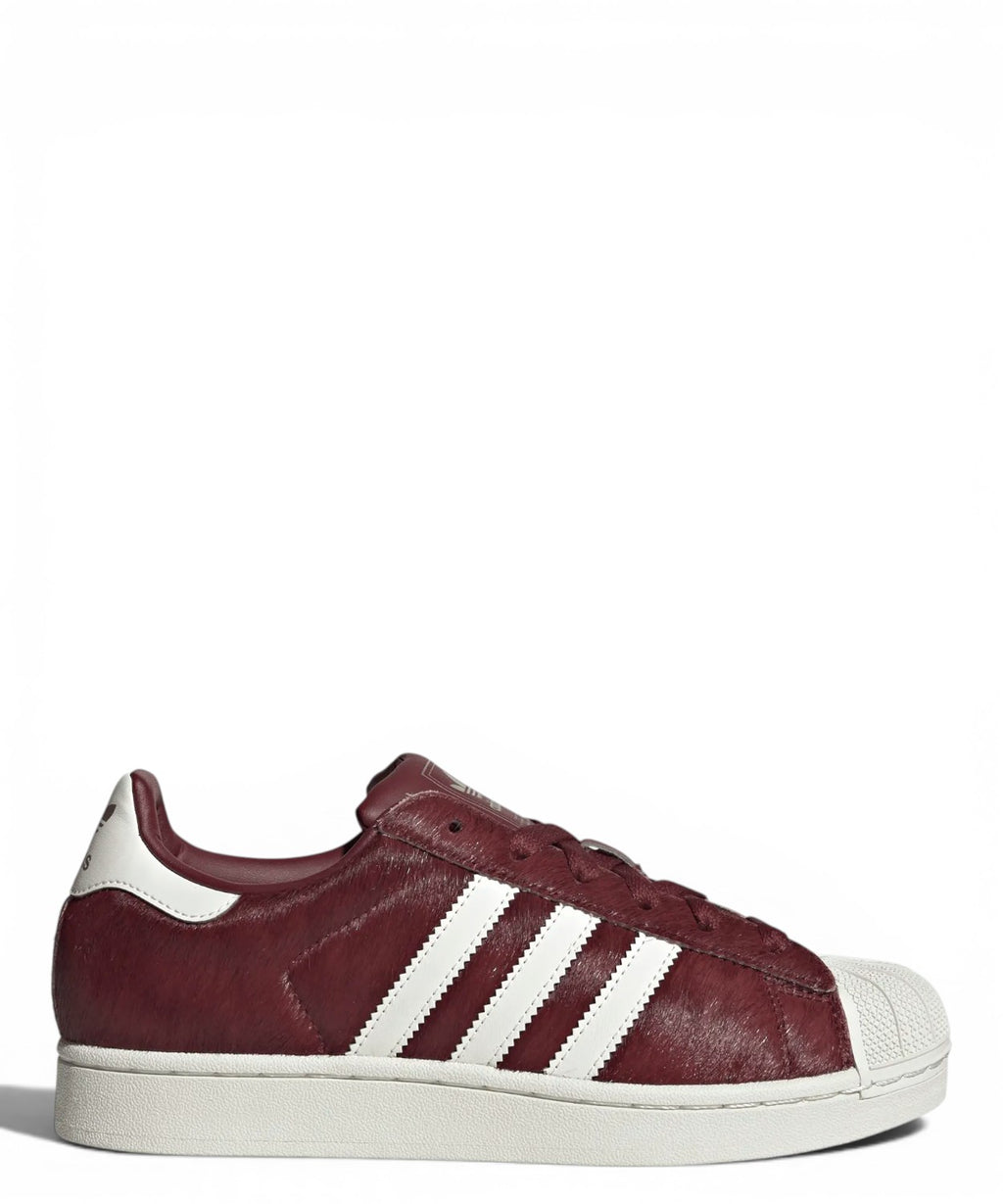 Sneakers Adidas Superstar II in Cavallino