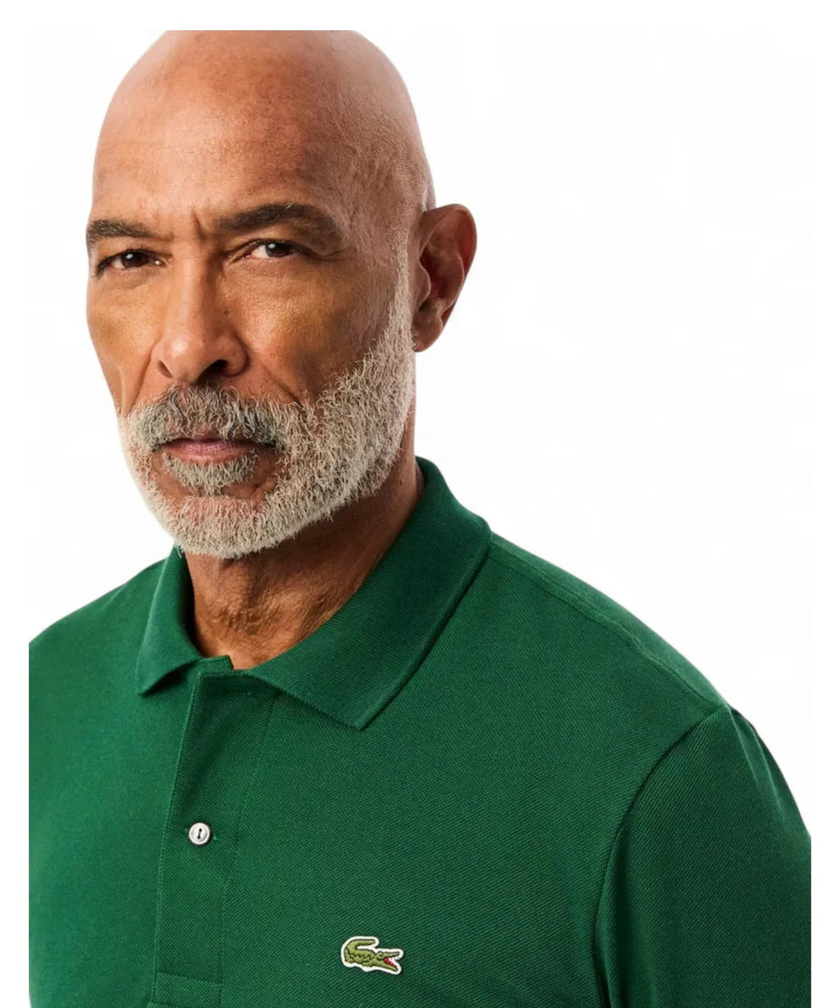 Polo Maniche Lunghe Piqué-LACOSTE-Polo-Vittorio Citro Boutique