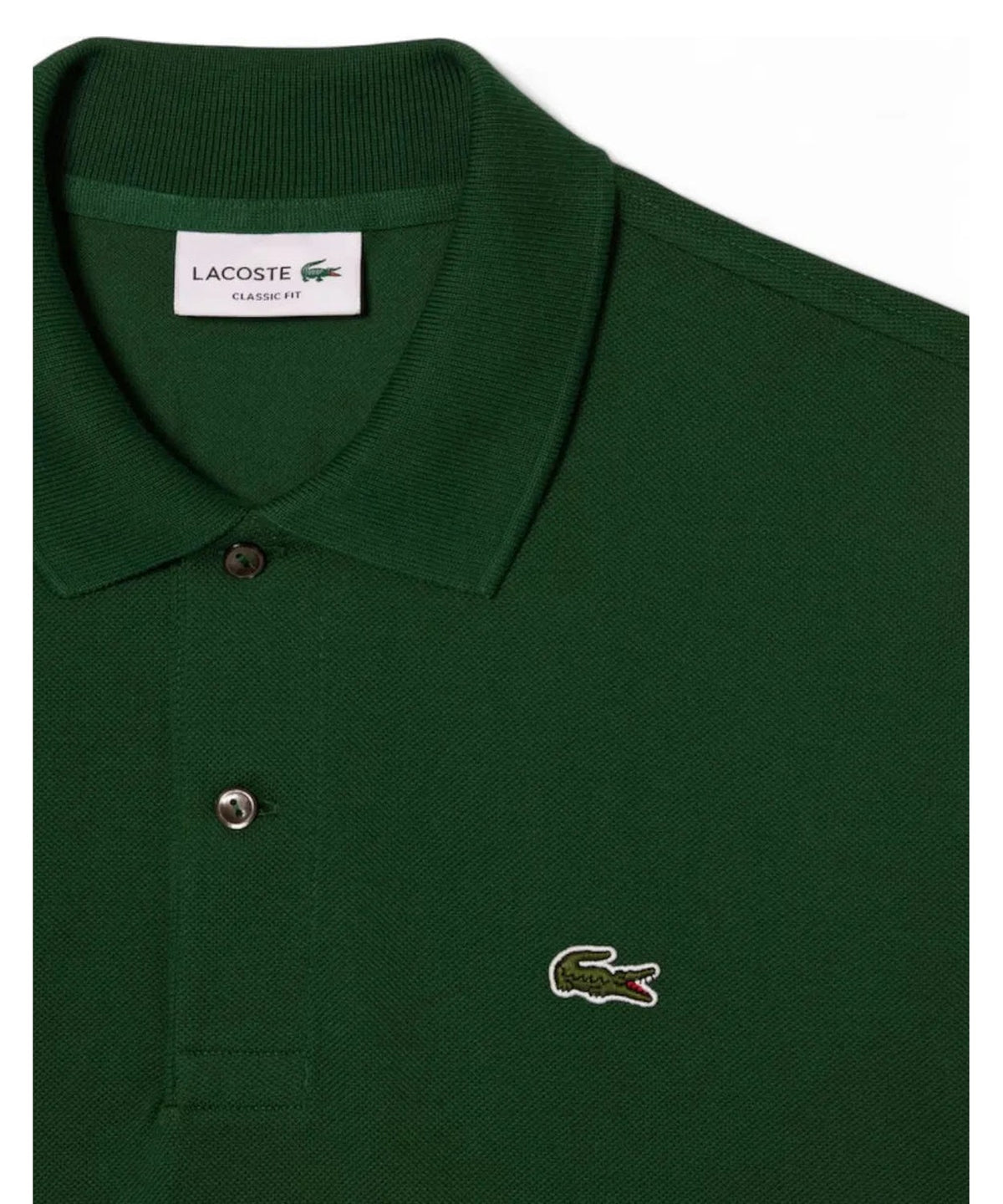 Polo Maniche Lunghe Piqué-LACOSTE-Polo-Vittorio Citro Boutique