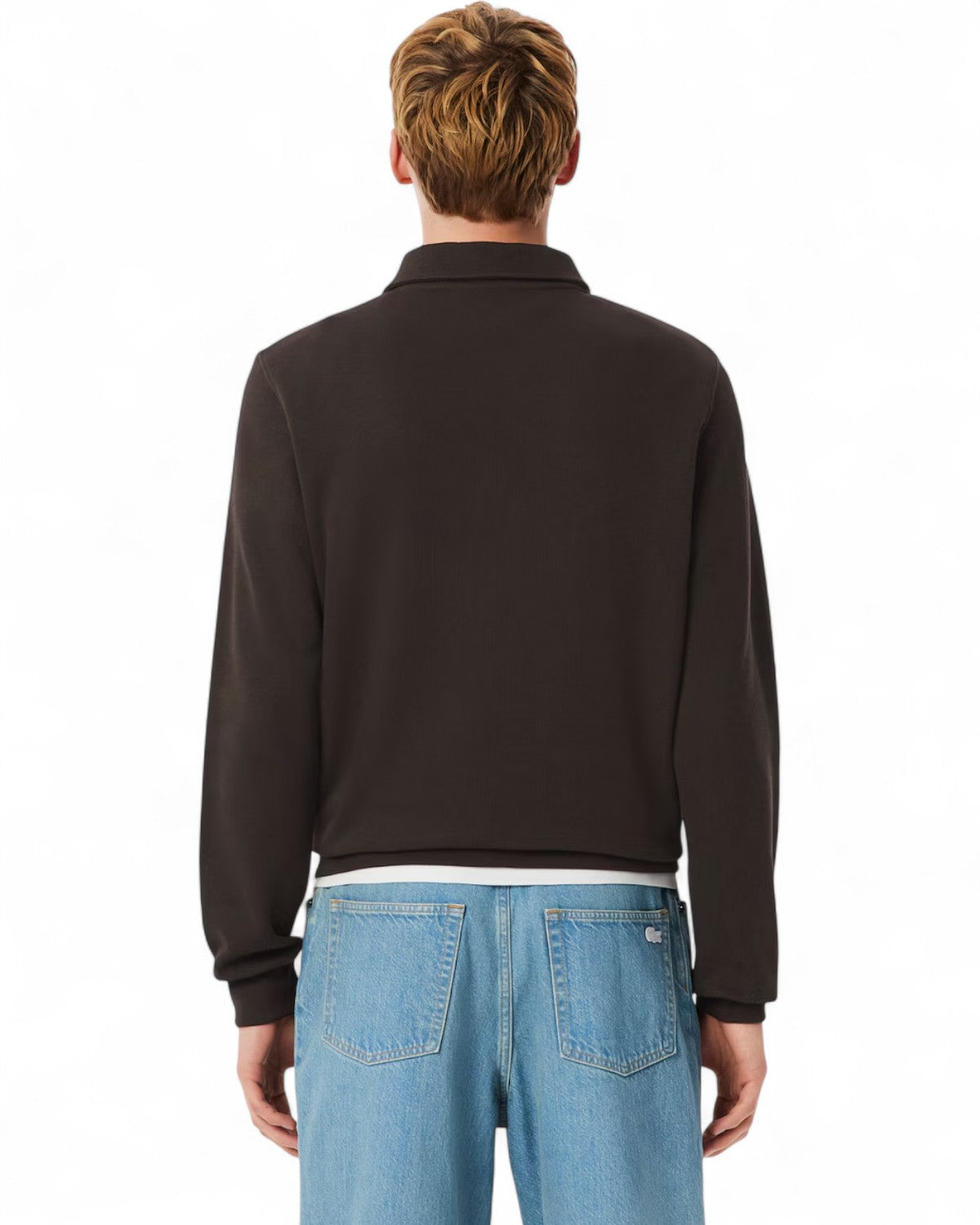 Felpa con Collo a Polo in Cotone-LACOSTE-Felpe-Vittorio Citro Boutique