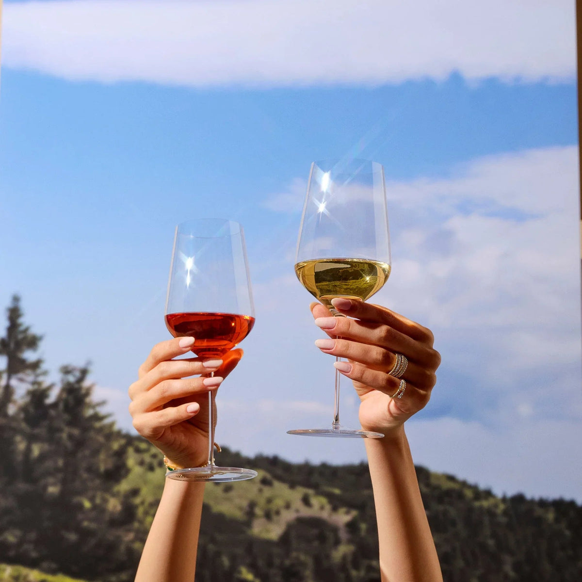 Set 2 calici da vino bianco Stem Zero per bianchi delicati