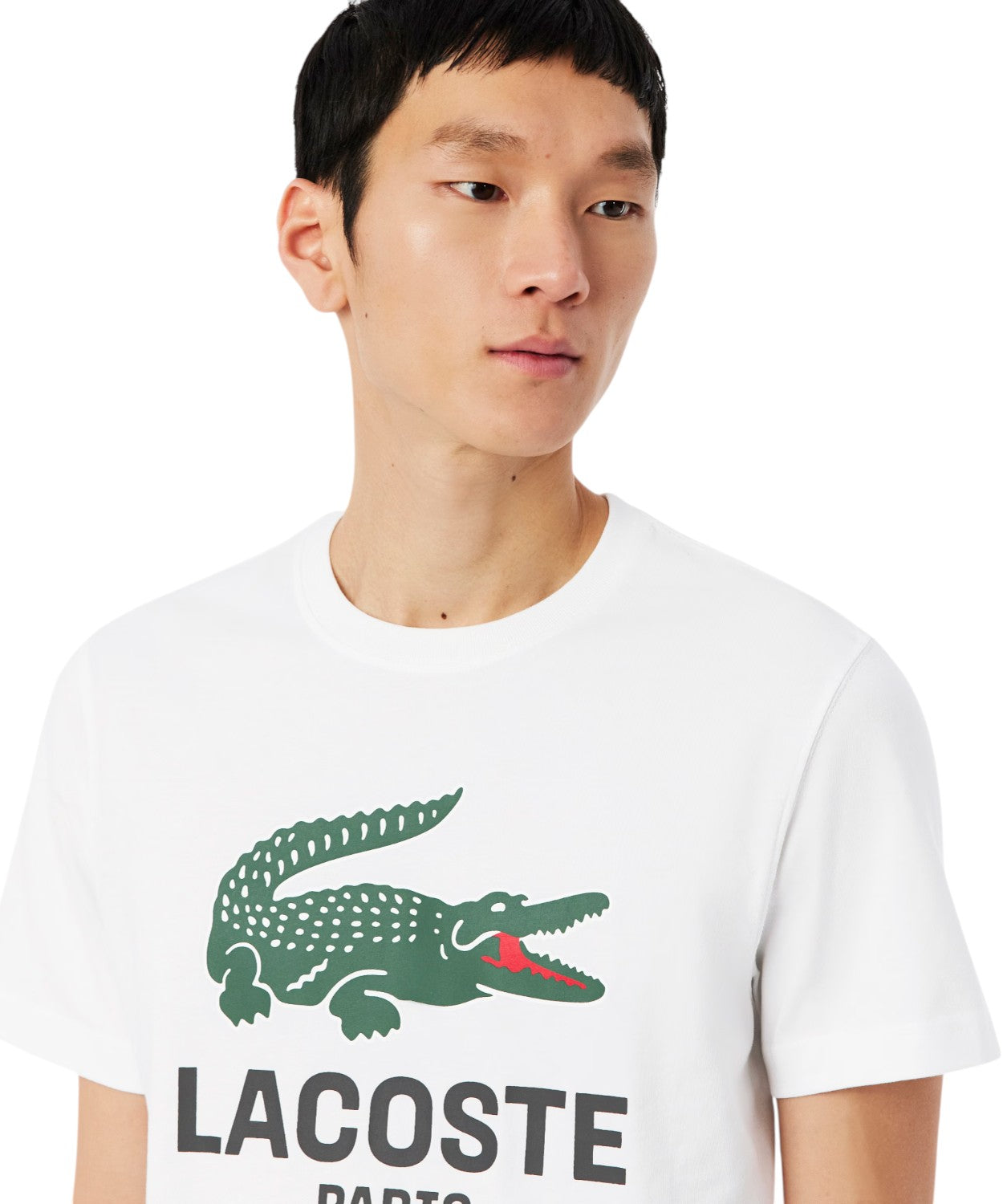 Lacoste T-Shirt Uomo in Cotone con Stampa