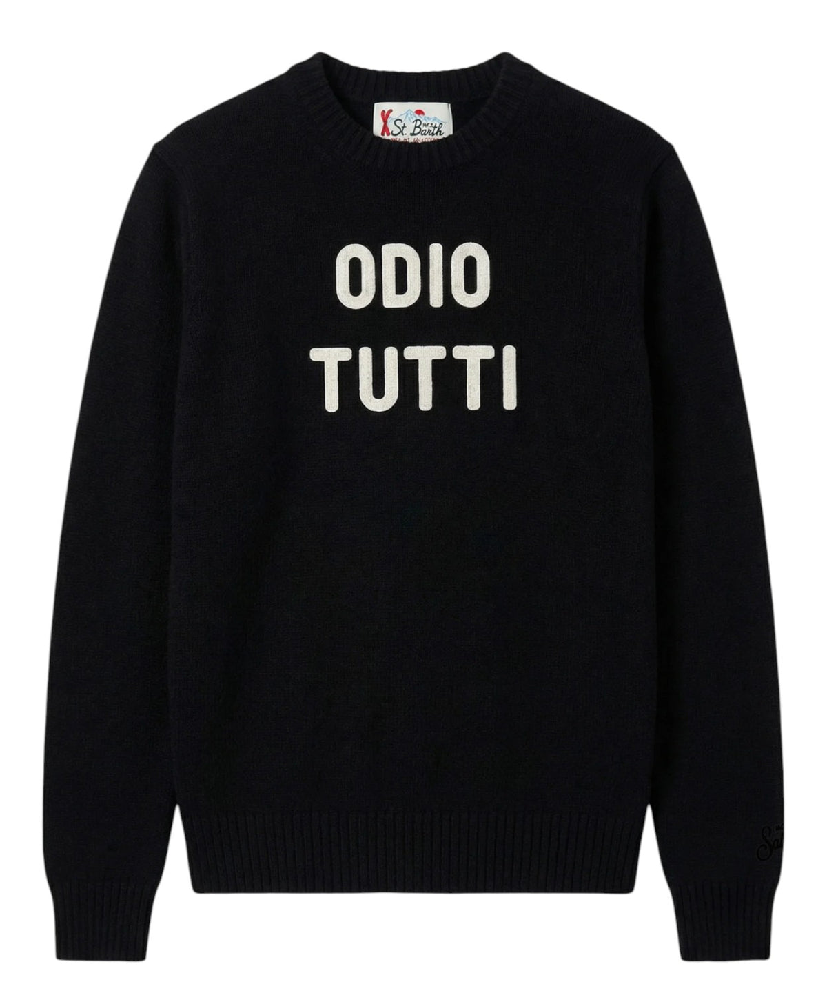 Maglione Uomo Heron in Cashmere ODIO TUTTI