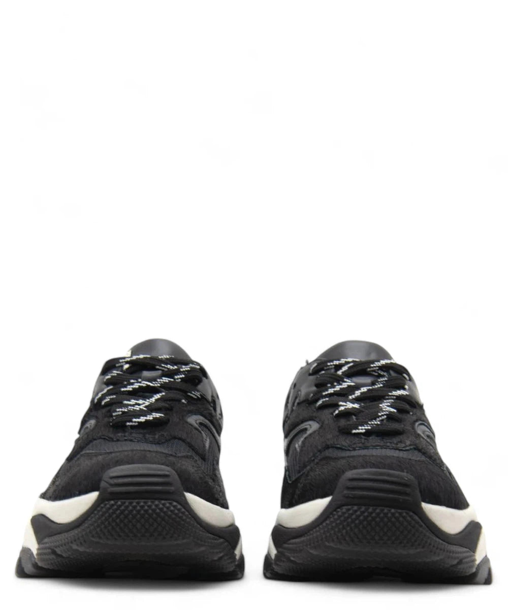 Chunky Sneakers Donna Addict Combo-ASH-Sneakers-Vittorio Citro Boutique