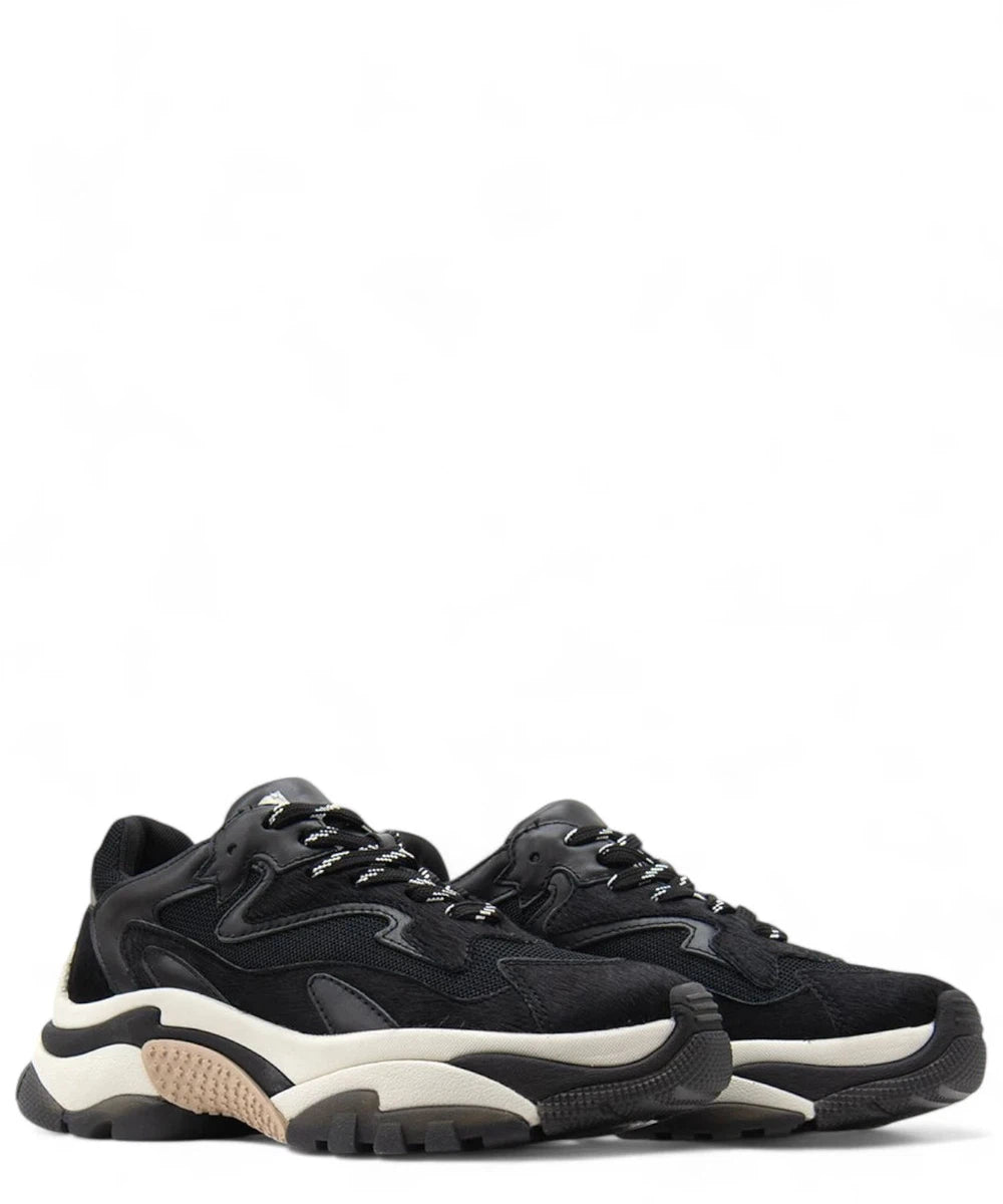 Chunky Sneakers Donna Addict Combo-ASH-Sneakers-Vittorio Citro Boutique