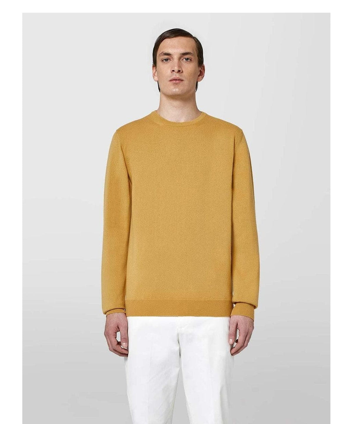Girocollo basic in cashmere 1