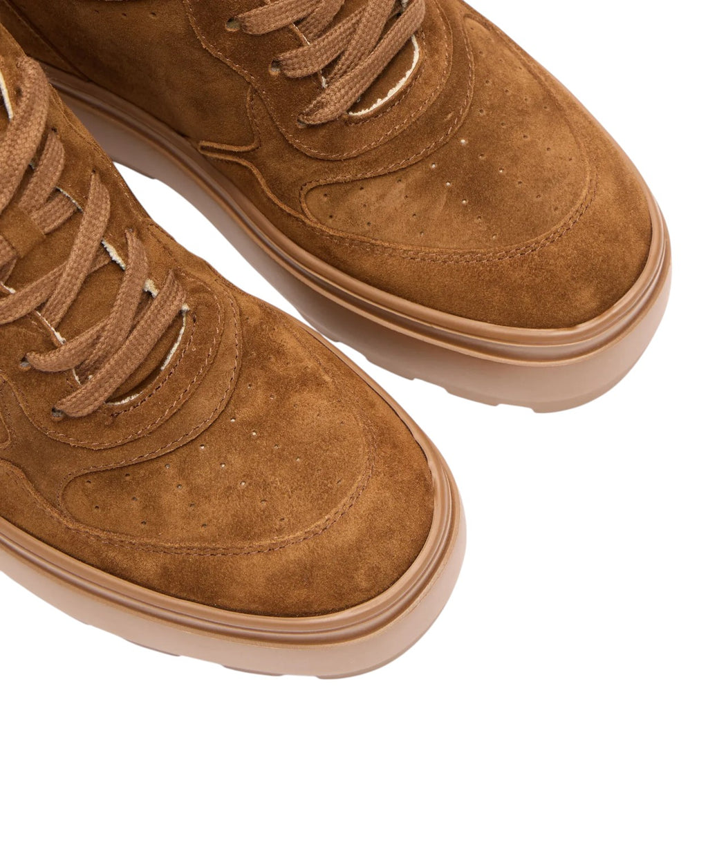 Sneakers Lace-Up Wedge Renna Casadei in Camoscio