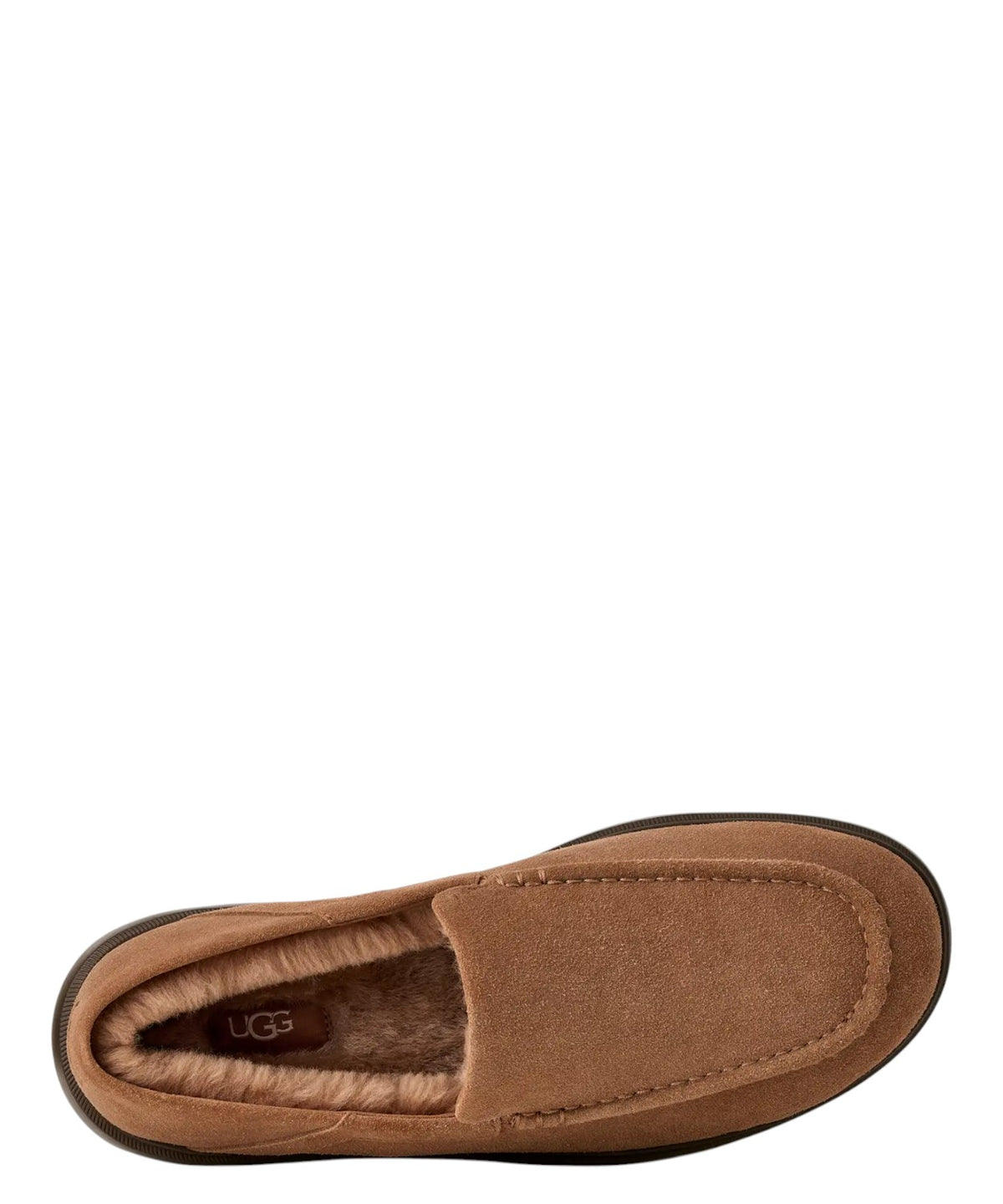 Mocassini Uomo UGG Shep in Camoscio con UGGplush