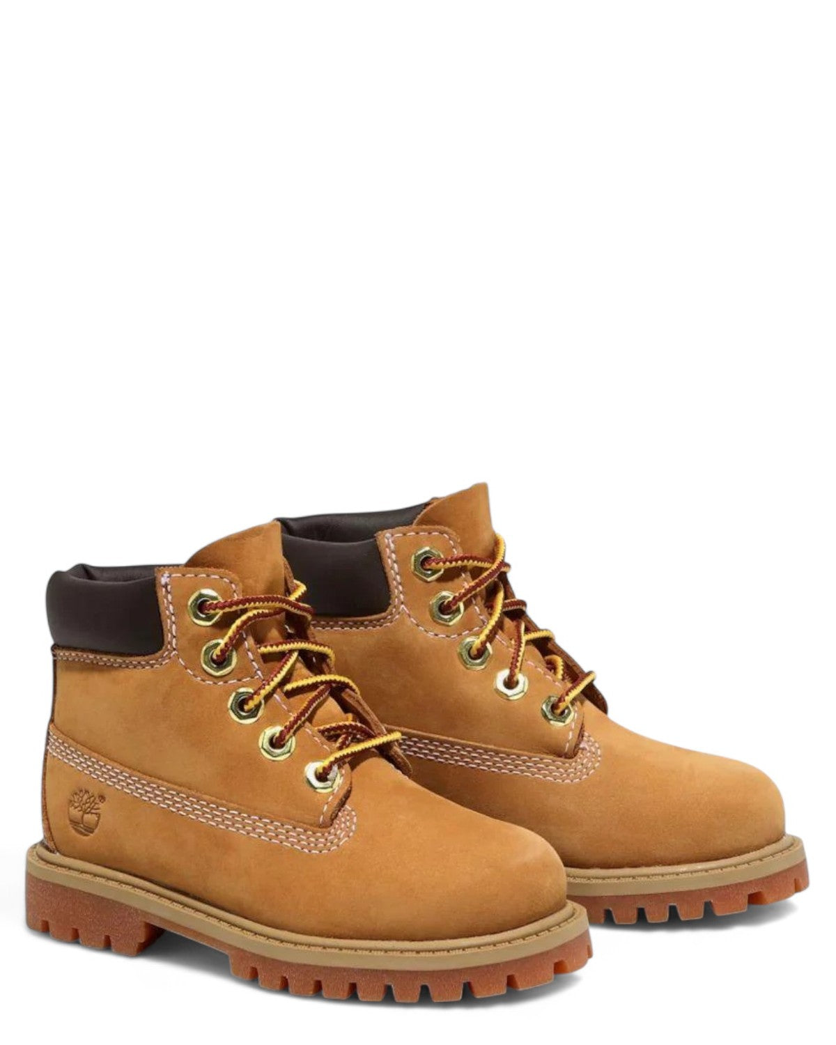 Premium 6 In Lace Waterproof-TIMBERLAND-Stivali-Vittorio Citro Boutique