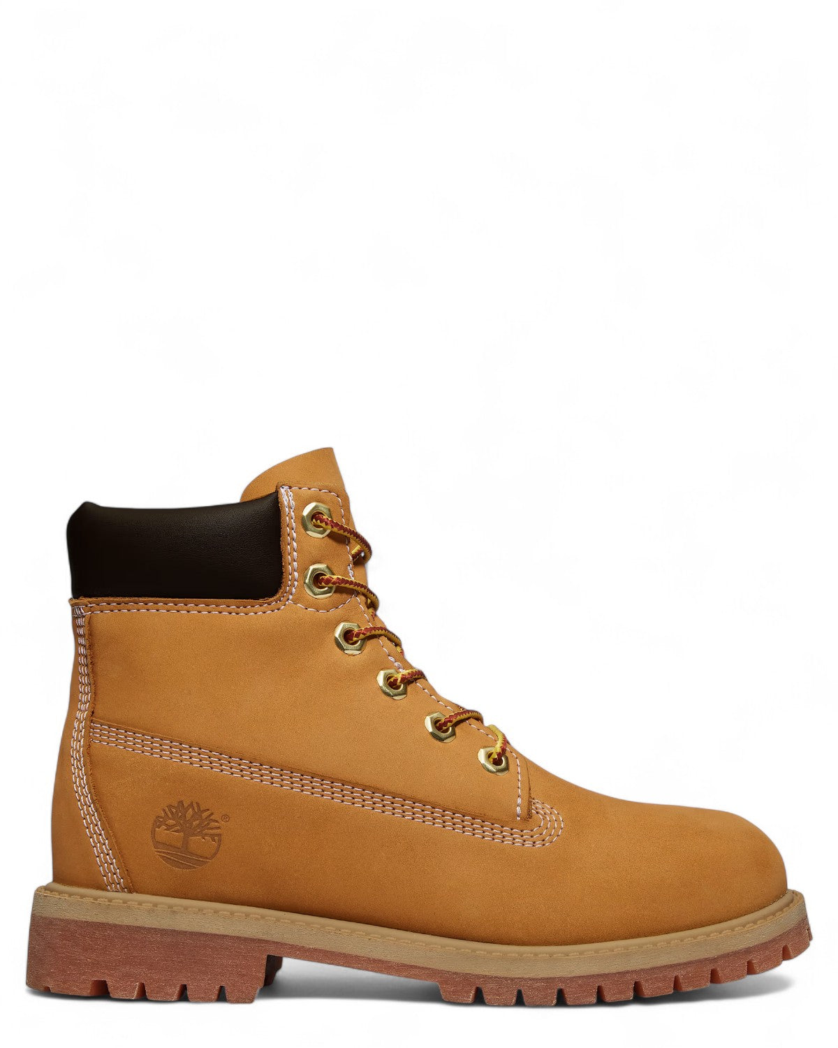 Scarponcino Premium 6 In Lace Impermeabile-TIMBERLAND-Stivali-Vittorio Citro Boutique