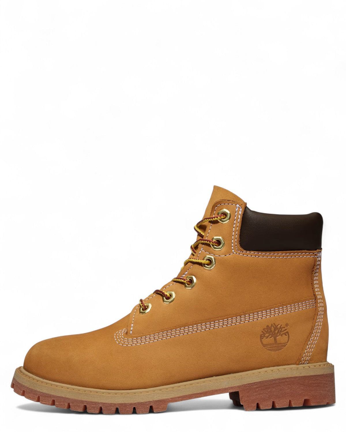 Scarponcino Premium 6 In Lace Impermeabile-TIMBERLAND-Stivali-Vittorio Citro Boutique