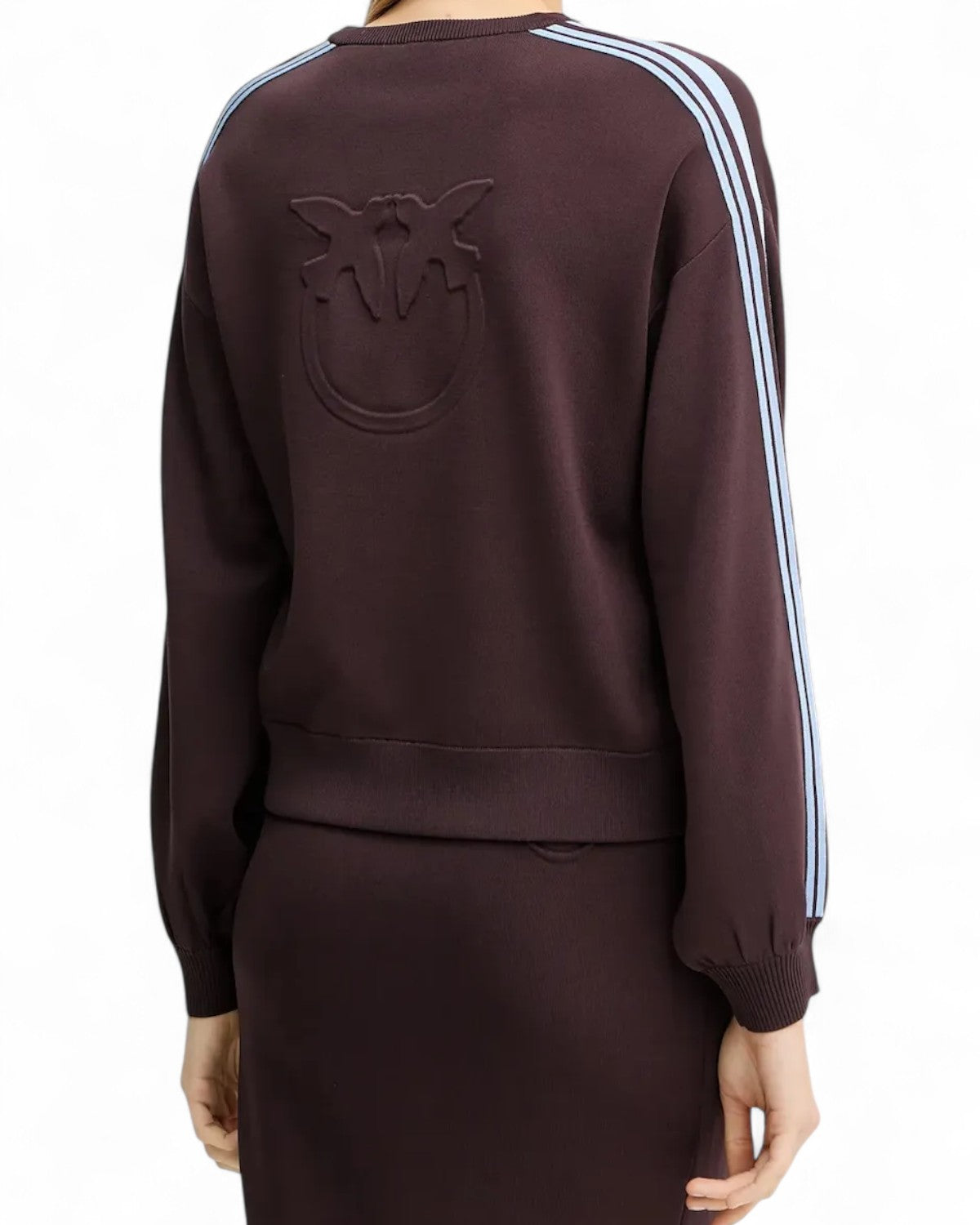 Retro della felpa Pinko Regular Fit con logo in rilievo e bande celesti sulle spalle, design versatile per la stagione inverno FW26.