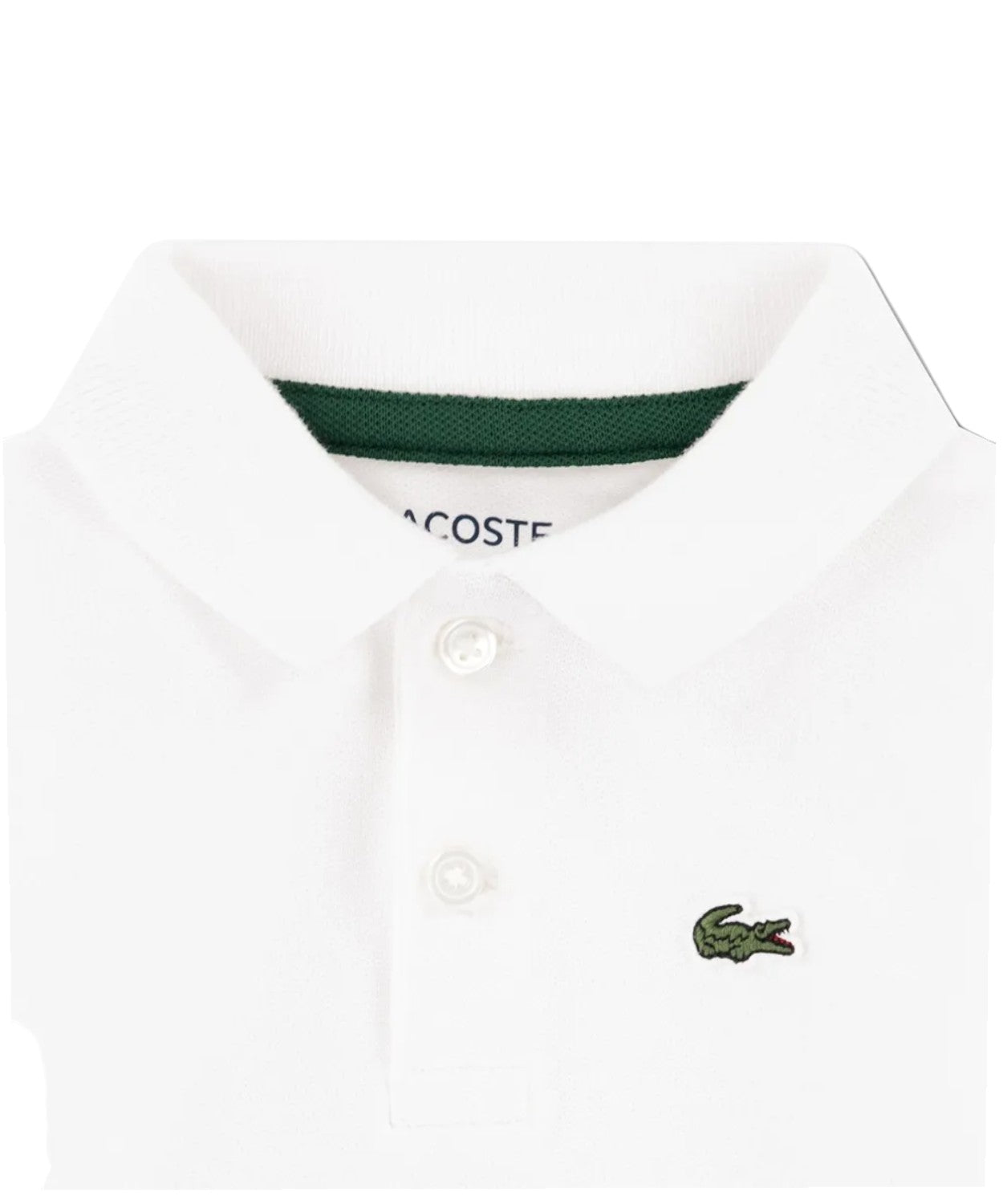 Body Polo Lacoste Kids in Cotone Piqué Biologico