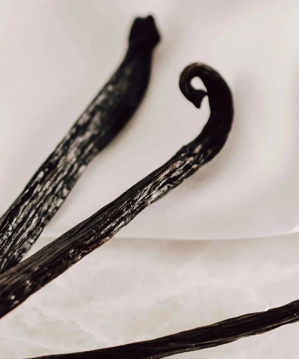 Accident À La Vanille – Eau de Parfum 50 ml-Jousset-Profumi-Vittorio Citro Boutique