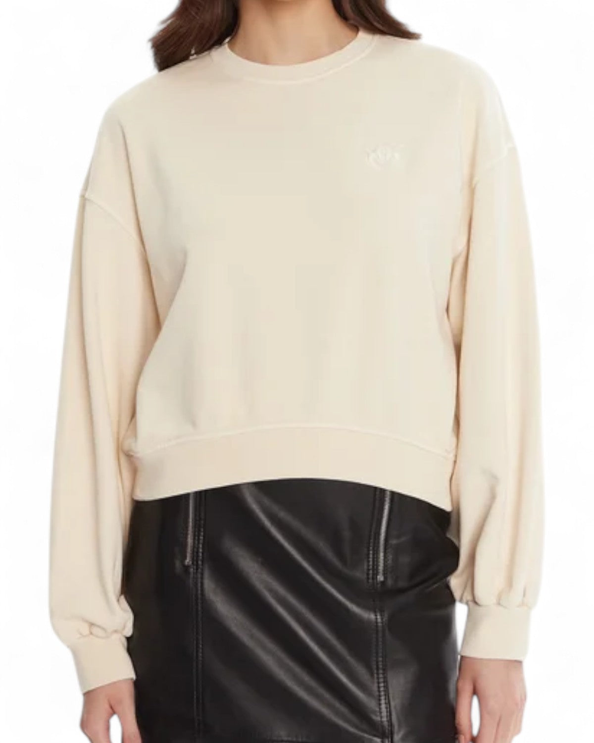 Felpa in Cotone con Ricamo Love Birds-Pinko-Maglieria-Vittorio Citro Boutique