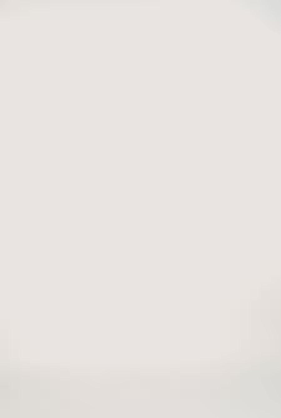 Pantaloni persempre mini flare twill