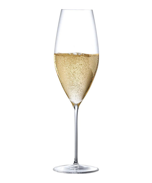 Calice da champagne Stem Zero Grace